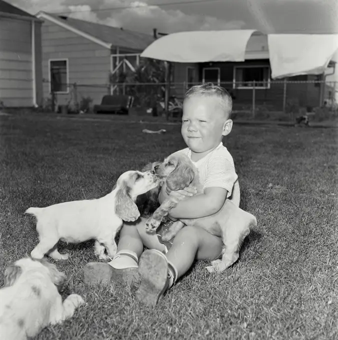Boy playing with three puppies