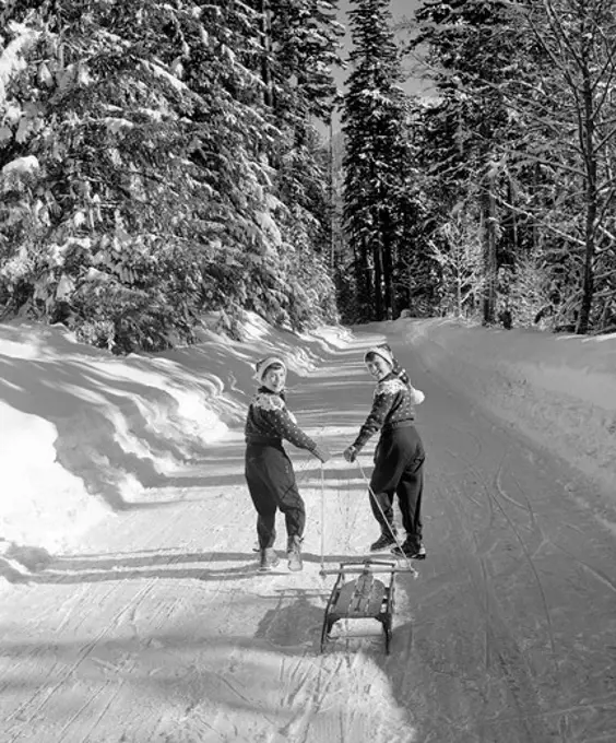USA, Washington, Snoqualmie Pass, Rear view of boys pulling sledge in winter scenery