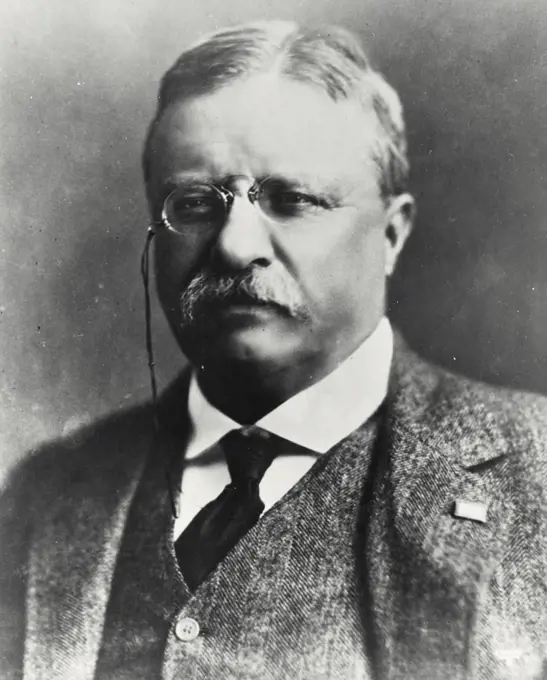 Vintage photograph. Theodore Roosevelt, 1858-1919, 26th President of the United States
