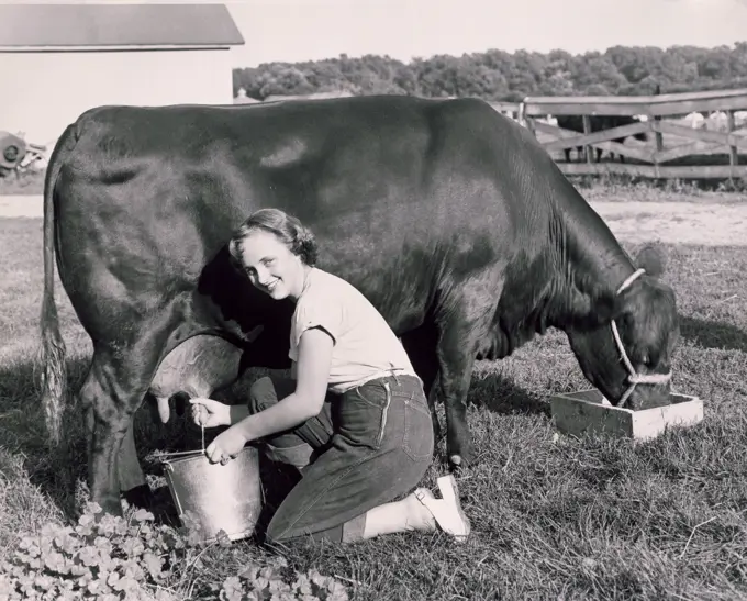 Portrait of a young woman milking a cow