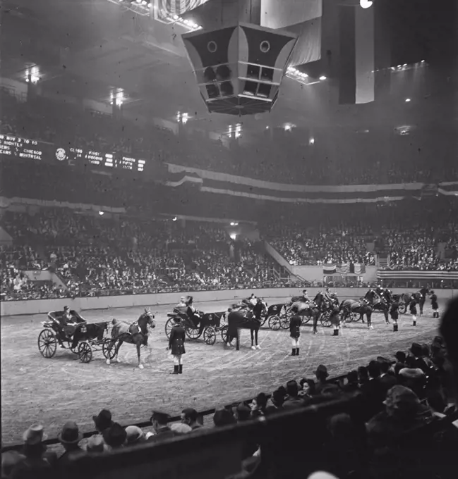 Vintage photograph. Horse show at Madison Square Garden