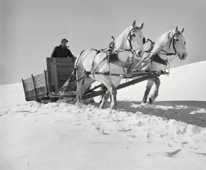 Horses pulling man in wagon through snow