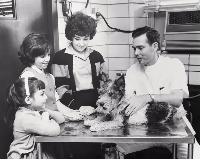 Male veterinarian examining a dog, ASPCA Hospital