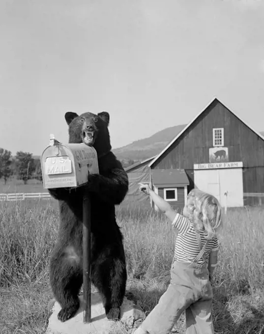 Boy pointing on stuffed bear holding mail box in front of farm building