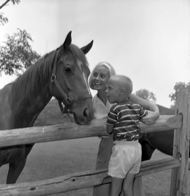 Mother and son stroking horse