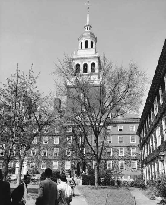 Trees in front of an educational building, Harvard University, Cambridge, Massachusetts, USA