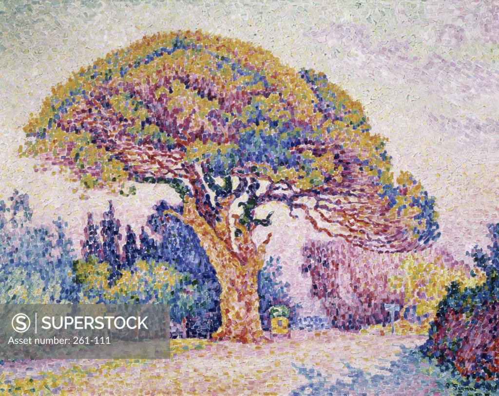 Stock Photo: 261-111 Pine Tree in St.Tropez  1909  Paul Signac (1863-1935/French)  Oil on canvas Pushkin Museum of Fine Arts, Moscow     