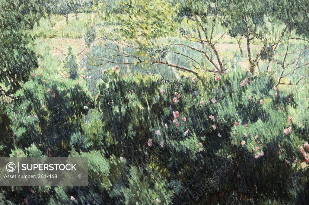 Stock Photo: 261-468 A Rose Bush by Mihajl Fedorovic Larionov, oil on canvas, 1902-1906, 1881-1964, Russia, St. Petersburg, Russian State Museum