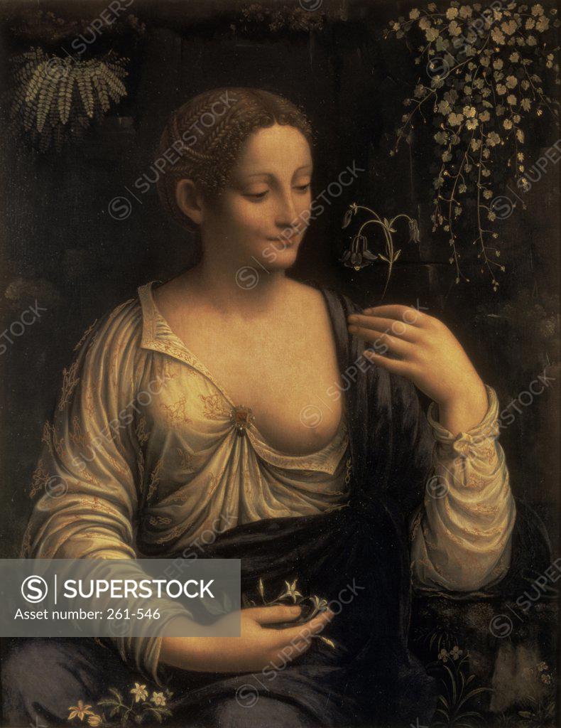 Stock Photo: 261-546 Flora  1520 Francesco Melzi (1493-1570/Italian)  Oil on canvas Hermitage Museum, St. Petersburg 