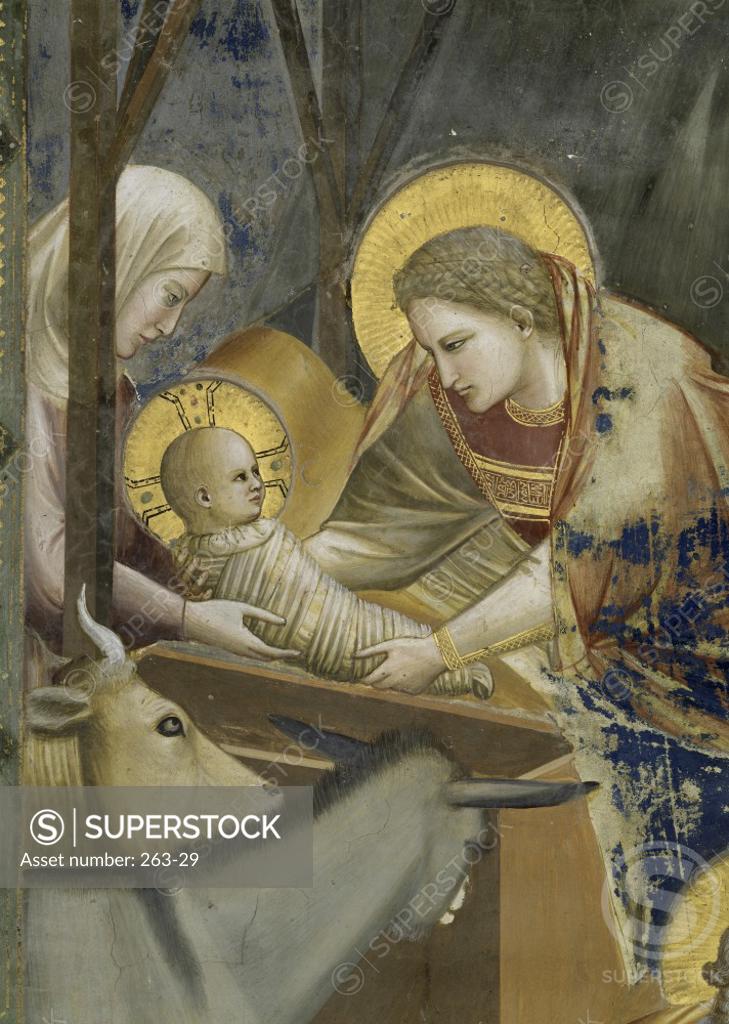 Stock Photo: 263-29 The Nativity (Detail)  c. 1305-1313 Giotto di Bondone c. (1266-1337/Florentine) Fresco  Arena Chapel, Cappella degli Scrovegni, Padua  