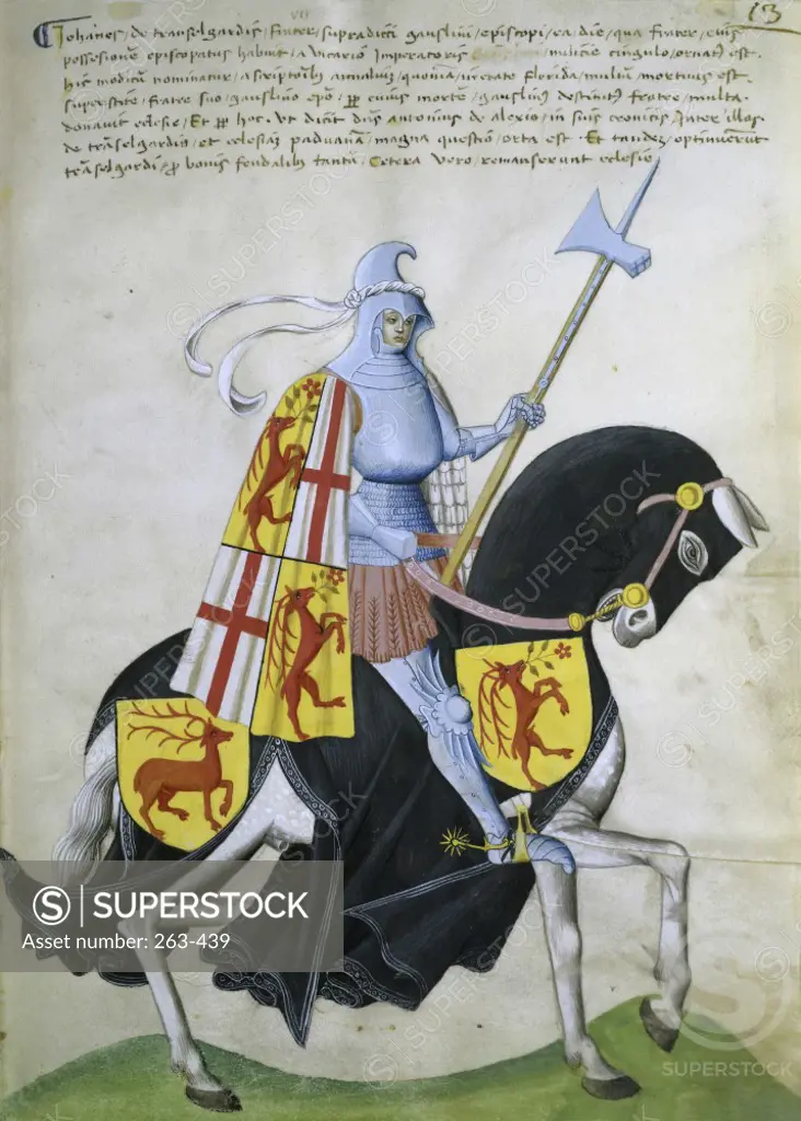 irony Romance fabric Female Knight and Black Horse: Capodilista Codex Manuscript Illumination  Biblioteca Civica, Padua - SuperStock