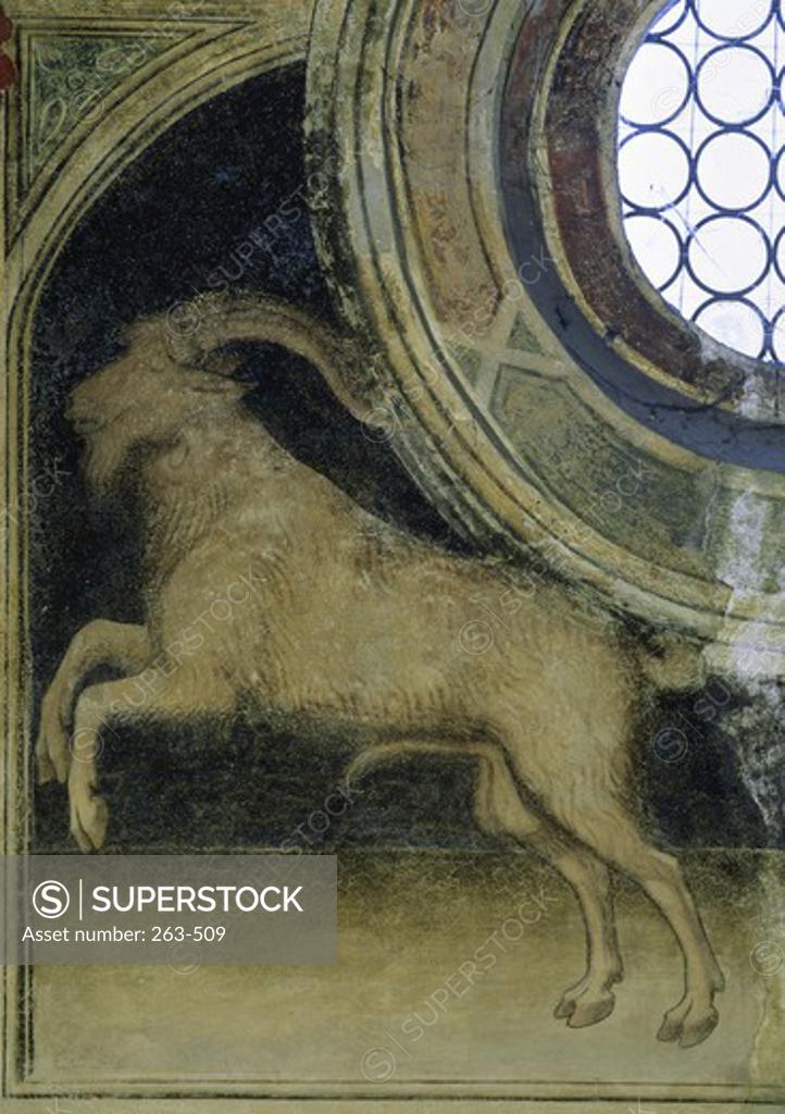 Stock Photo: 263-509 Capricorn - Astrology Artist Unknown Palazzo della Ragione, Padua, Italy 