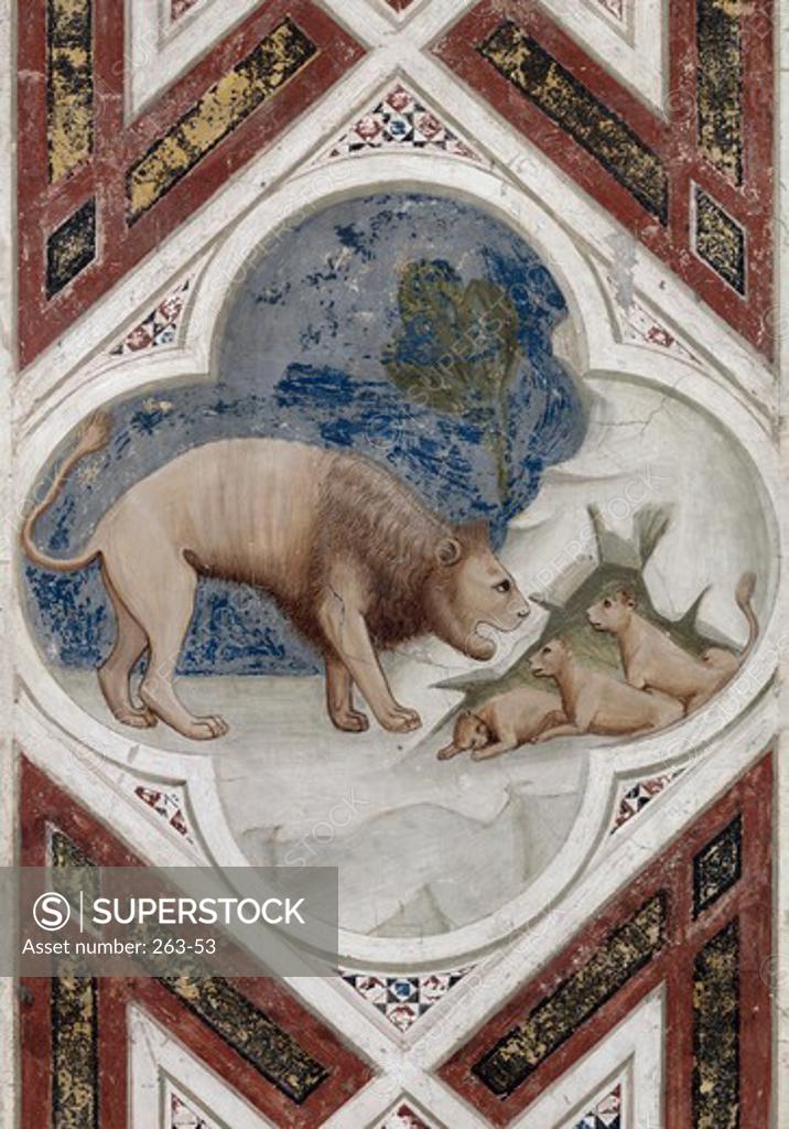 Stock Photo: 263-53 Lioness with her Cubs Giotto di Bondone (C. 1266-1337 Florentine) Arena Chapel, Cappella Degli Scrovegni, Padua 