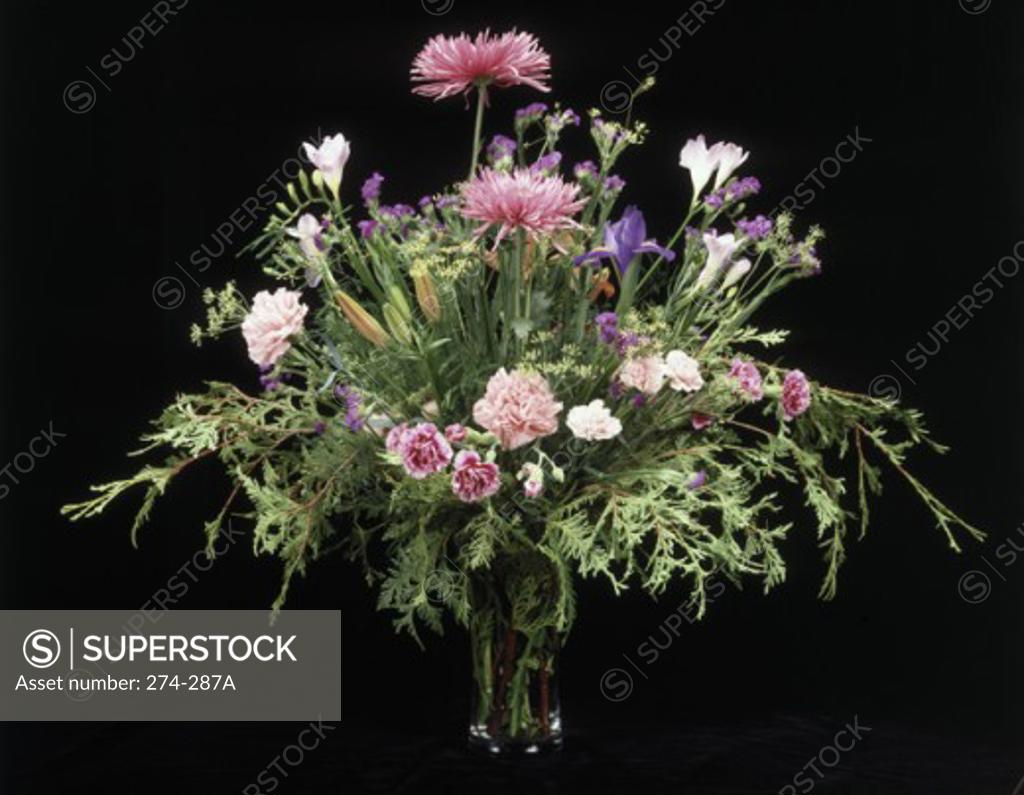 Stock Photo: 274-287A Close-up of a bunch of flowers in a vase