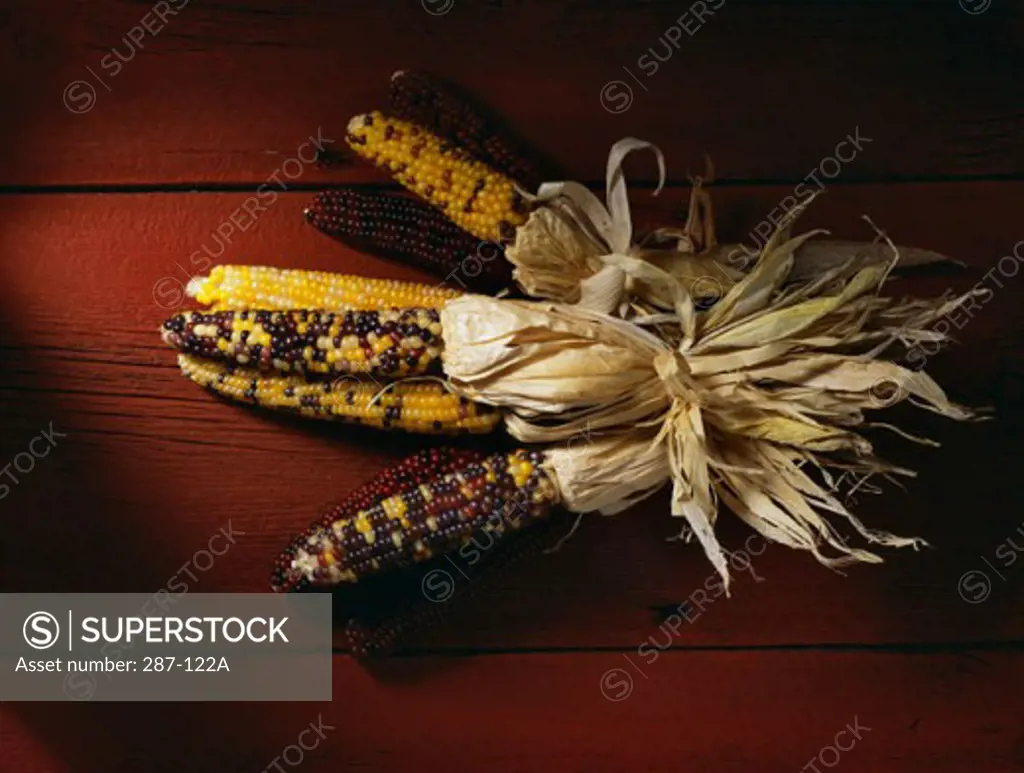 Close-up of assorted corn on the cob