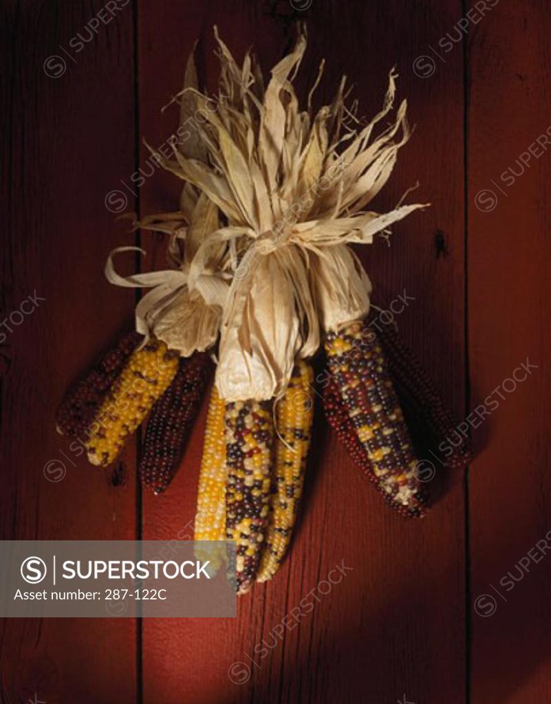Stock Photo: 287-122C Close-up of Indian corn