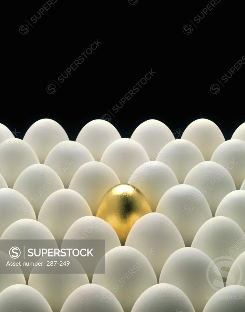 Stock Photo: 287-249 Close-up of a golden egg surrounded with white eggs