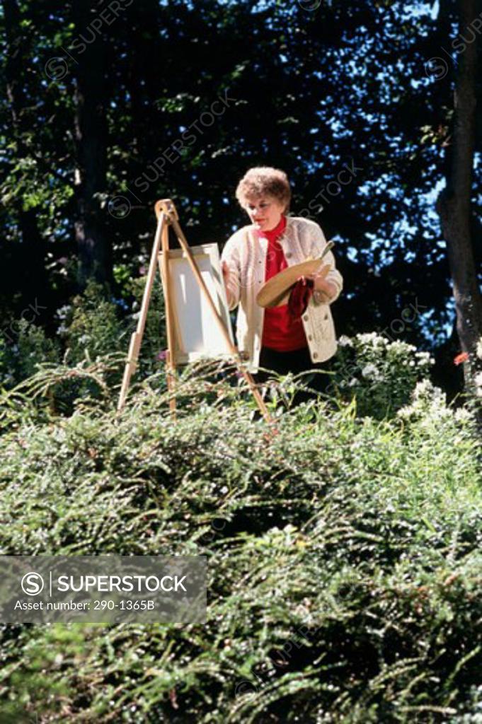 Stock Photo: 290-1365B Senior woman painting in a garden