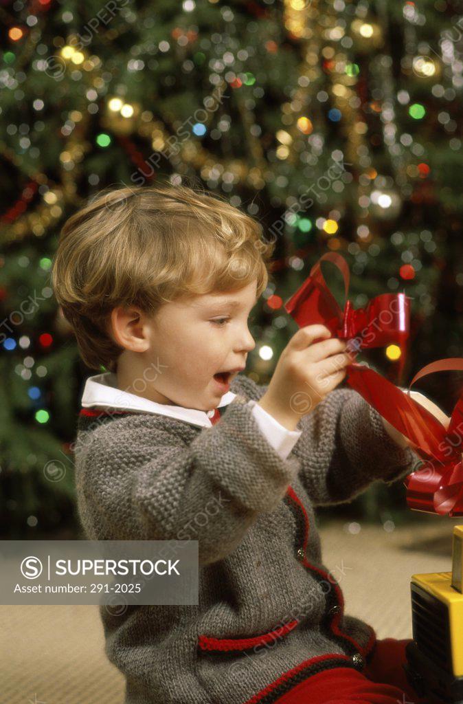 Stock Photo: 291-2025 Boy opening a Christmas present