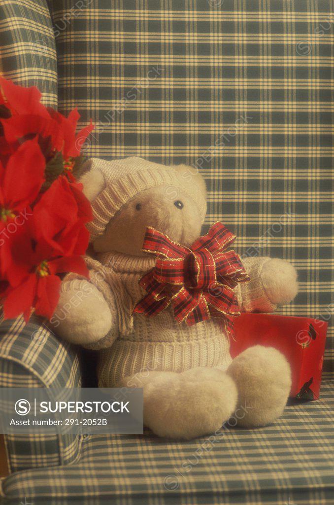 Stock Photo: 291-2052B Close-up of a teddy bear on a couch