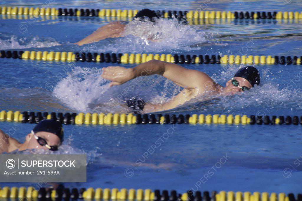 Stock Photo: 291-599A Three swimmers racing in a swimming pool
