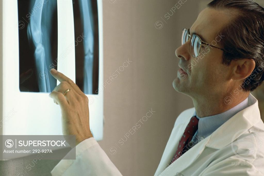 Stock Photo: 292-927A Close-up of a male doctor looking at x-ray reports on a lightbox