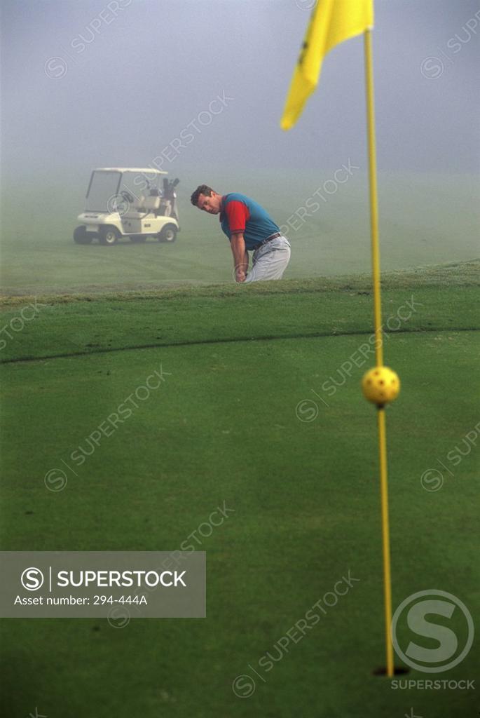 Stock Photo: 294-444A Mid adult man playing golf