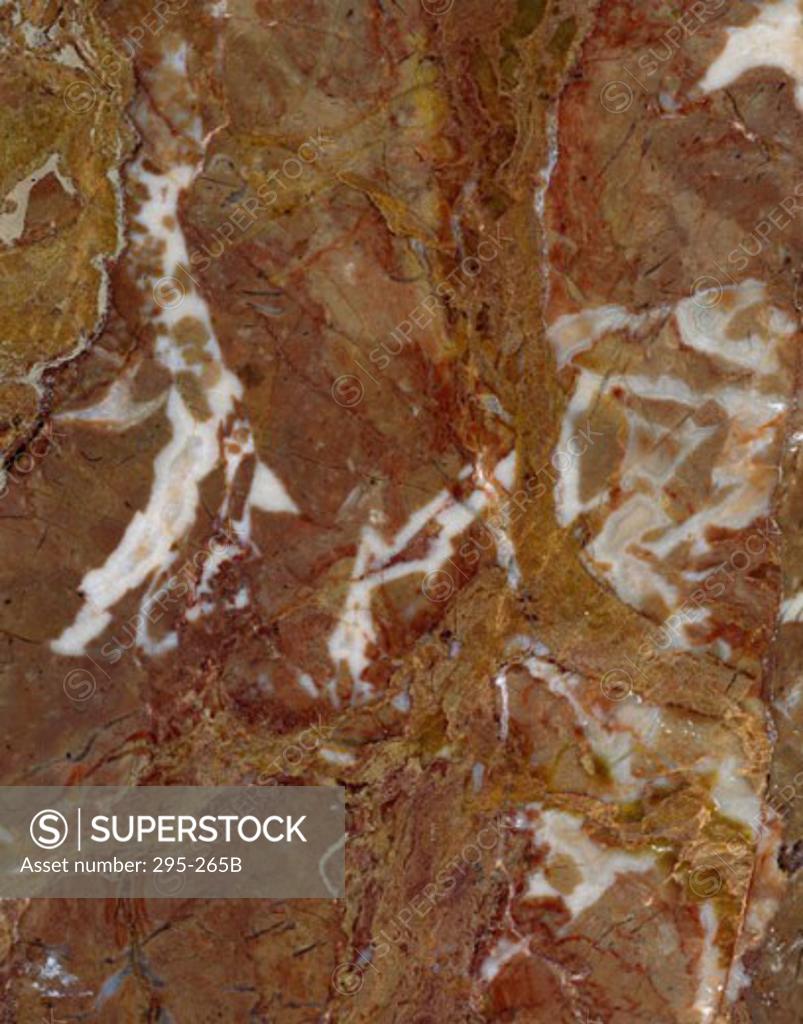 Stock Photo: 295-265B Close-up of Breccia Pernice marble