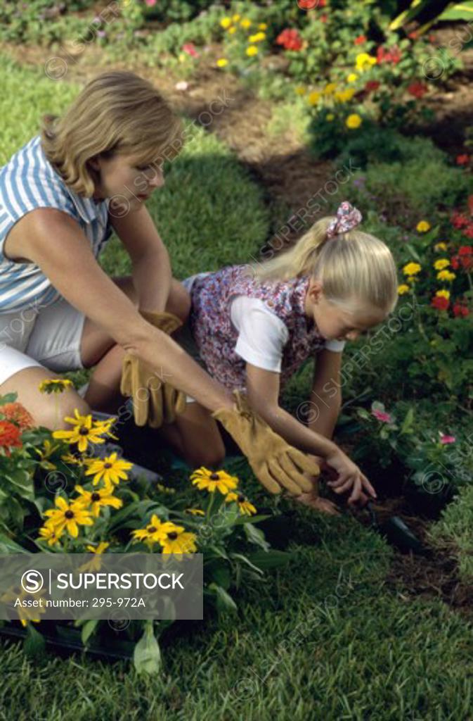 Stock Photo: 295-972A Mid adult woman gardening with her daughter
