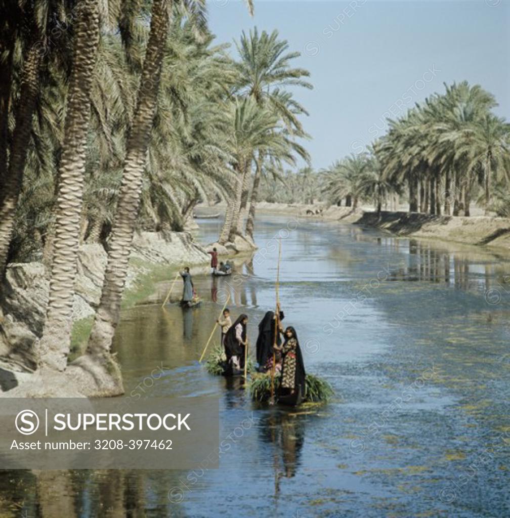 Stock Photo: 3208-397462 Tigris-Euphrates Rivers Al-Quorna Iraq