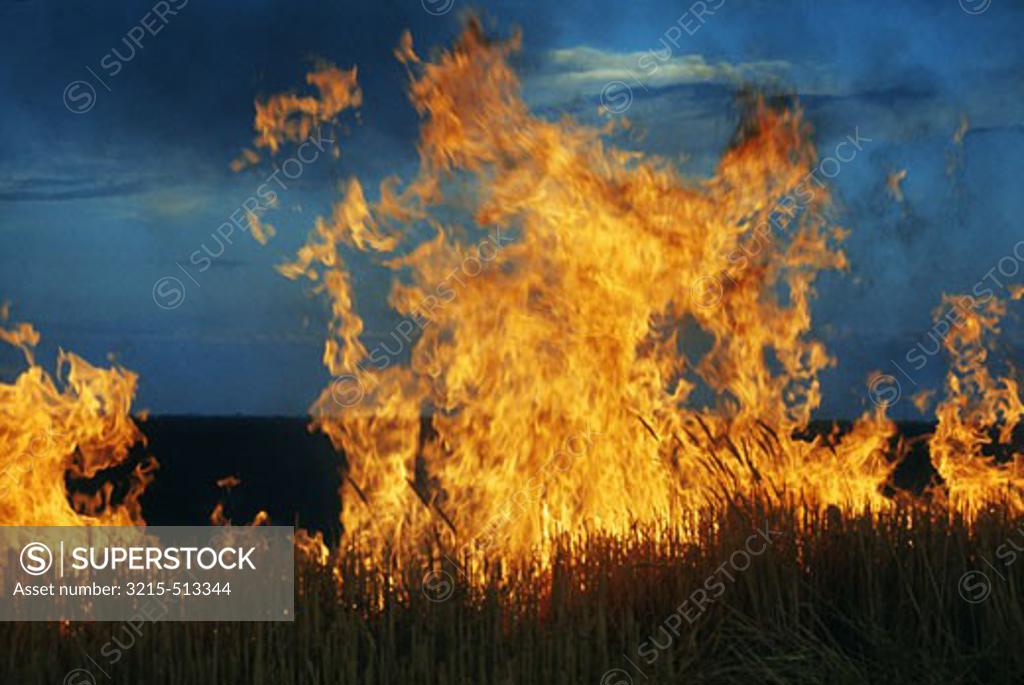 Stock Photo: 3215-513344 Wheat Fire Kansas USA