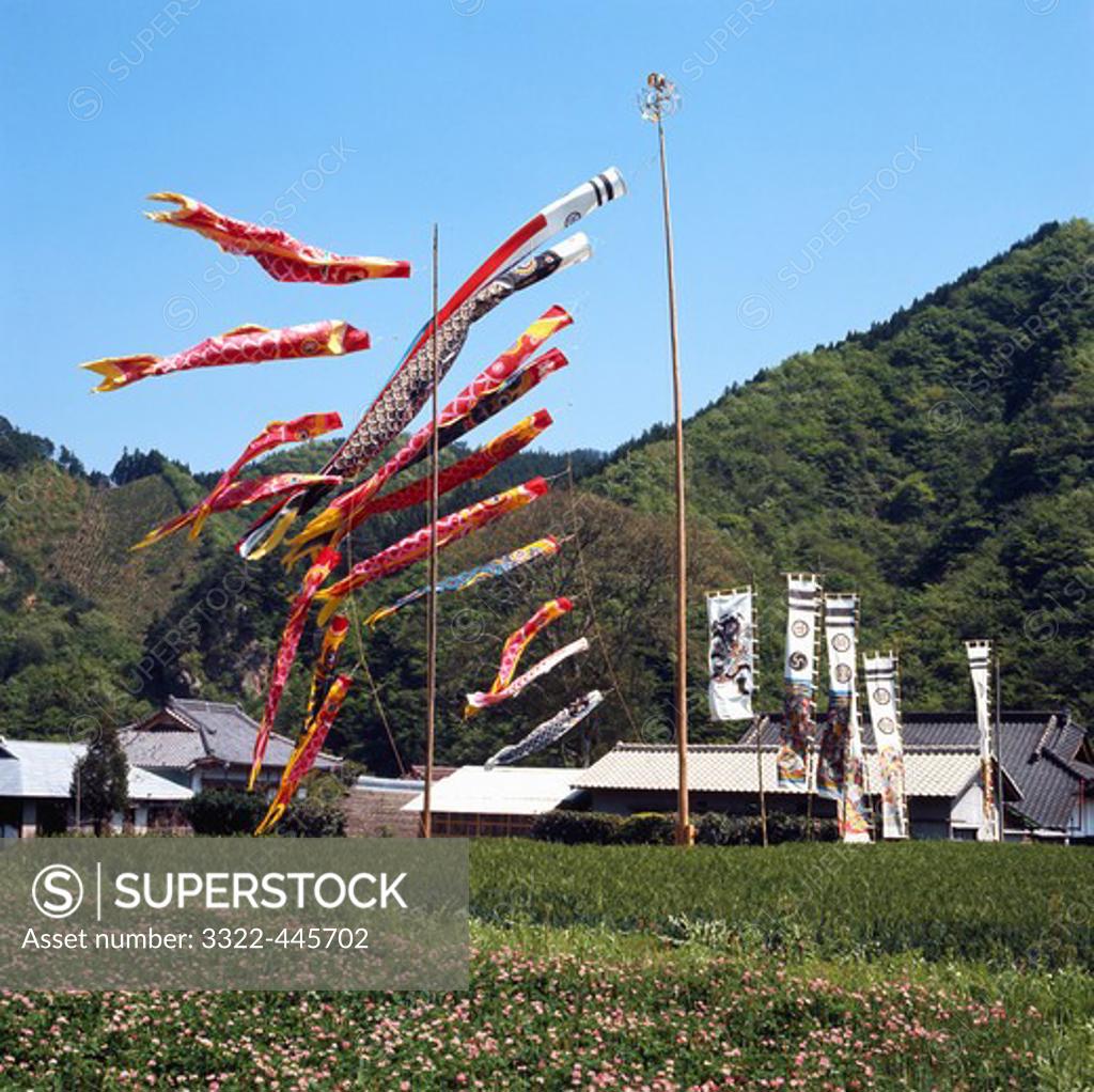 Stock Photo: 3322-445702 Japan, Fukushima Prefecture, Kodomo-No-Hi Festival, Carp Banners on Children's Day