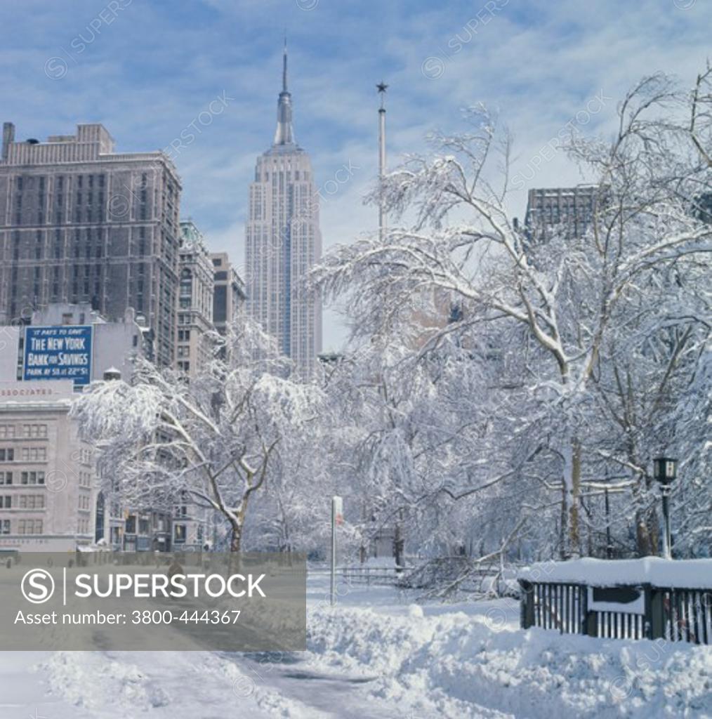 Stock Photo: 3800-444367 Trees and a road covered with snow in front of skyscrapers, Madison Square, Manhattan, New York City, New York, USA