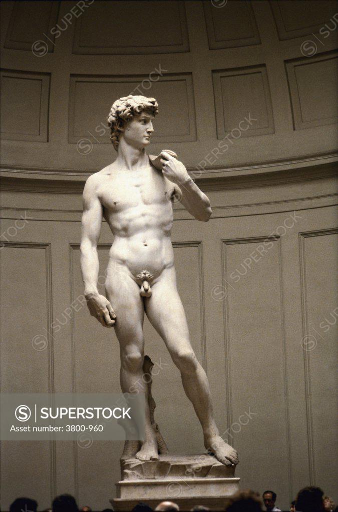 Stock Photo: 3800-960 David  1501-1504 Michelangelo Buonarroti (1475-1564/Italian)  Marble Sculpture  Florentine Galleria dell'Accademia, Florence 