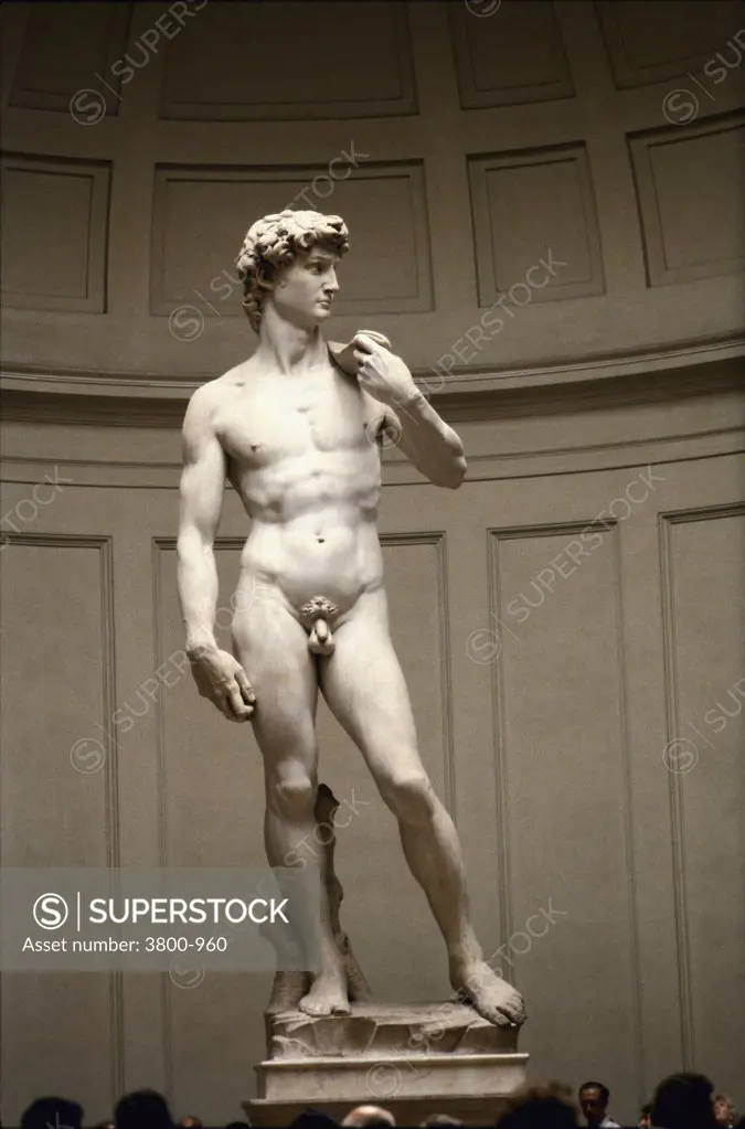 David  1501-1504 Michelangelo Buonarroti (1475-1564/Italian)  Marble Sculpture  Florentine Galleria dell'Accademia, Florence 