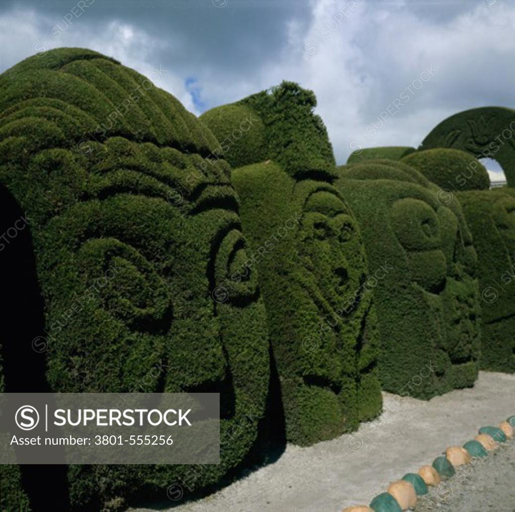 Stock Photo: 3801-555256 Topiary Work Tulcan, Ecuador