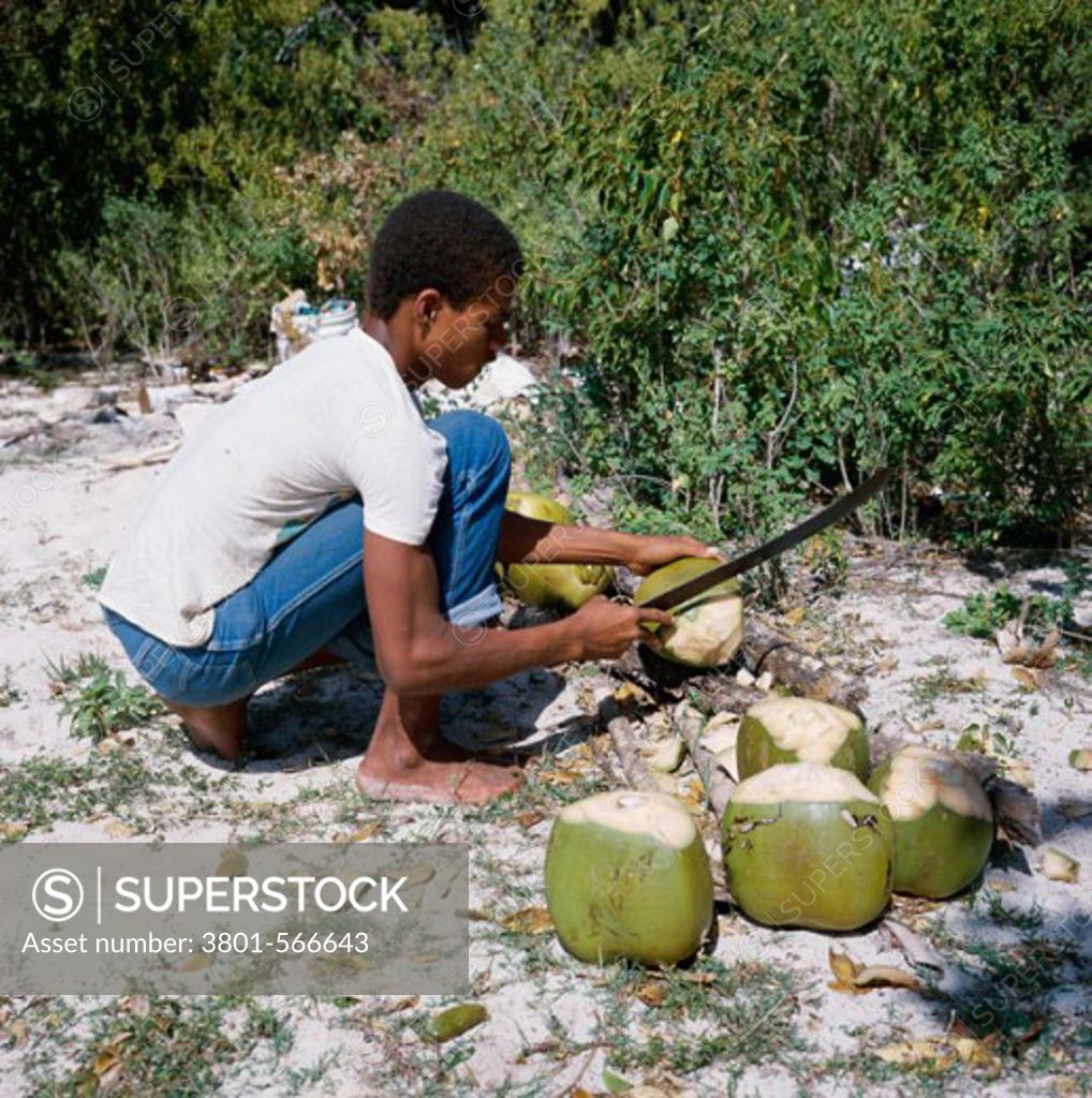 Stock Photo: 3801-566643 Side profile of a young man cutting coconuts, Barbuda