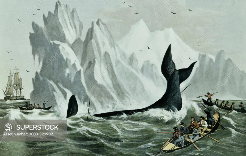 Stock Photo: 3803-329902 Capturing the Whale Currier and Ives (Active1857-1907 American)