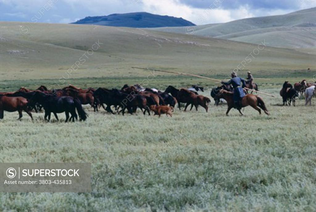 Stock Photo: 3803-435813 Mongolia