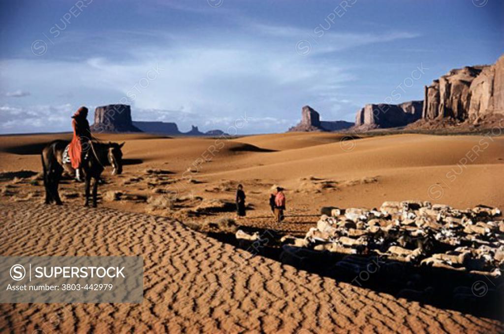 Stock Photo: 3803-442979 Indians Driving Sheep Navajo Indian Reservation Monument Valley Utah USA