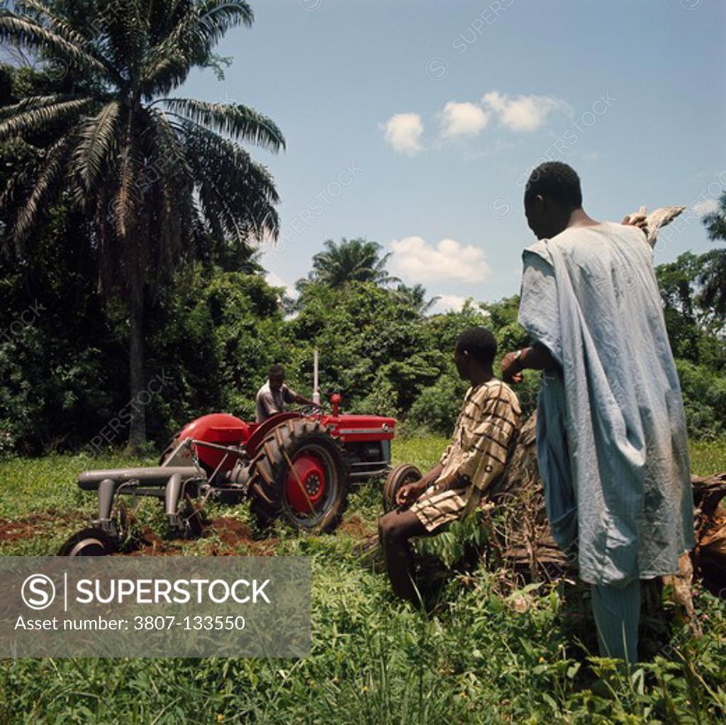 Stock Photo: 3807-133550 Nigeria, farmers plowing field