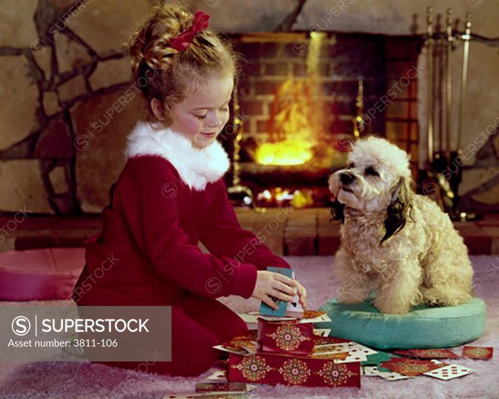Stock Photo: 3811-106 Side profile of a girl making a house of cards and her puppy sitting beside her