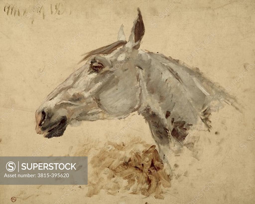 Stock Photo: 3815-395620 Testo Di Cavallo Henri de Toulouse-Lautrec (1864-1901/French) Musee Toulouse-Lautrec, Albi, France 