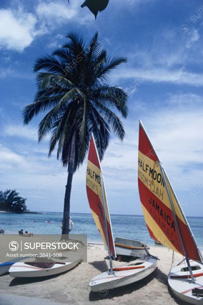 Stock Photo: 3841-508 Montego Bay Jamaica