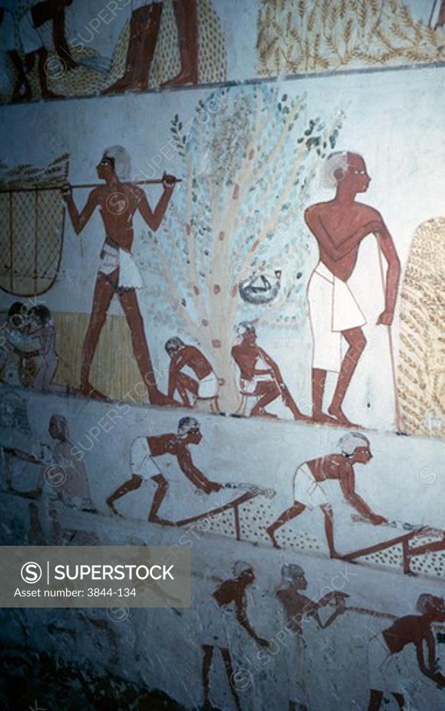 Stock Photo: 3844-134 Menna Tomb Relief: Farming Thebes Egyptian Art 