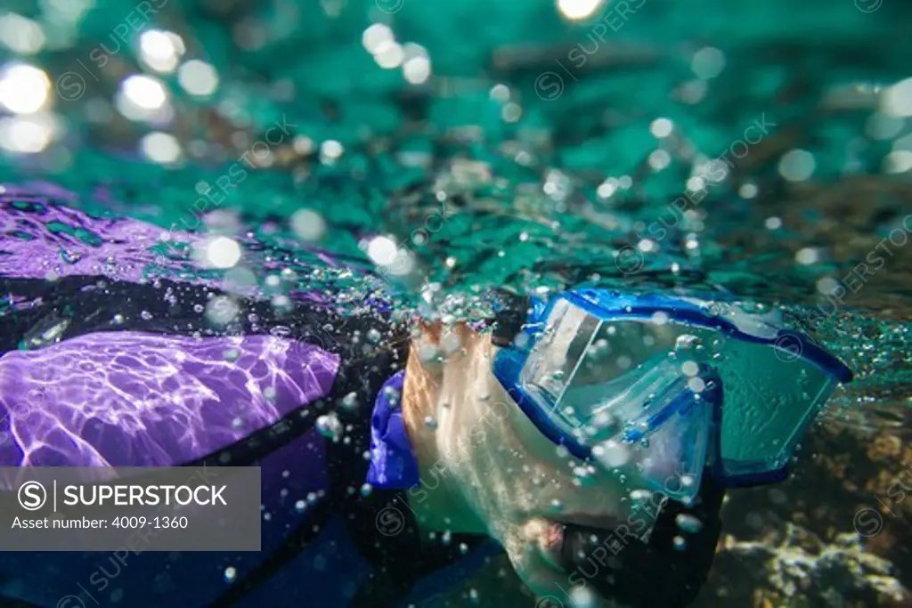 Ecuador, Galapagos Islands, Woman snorkeling in sea