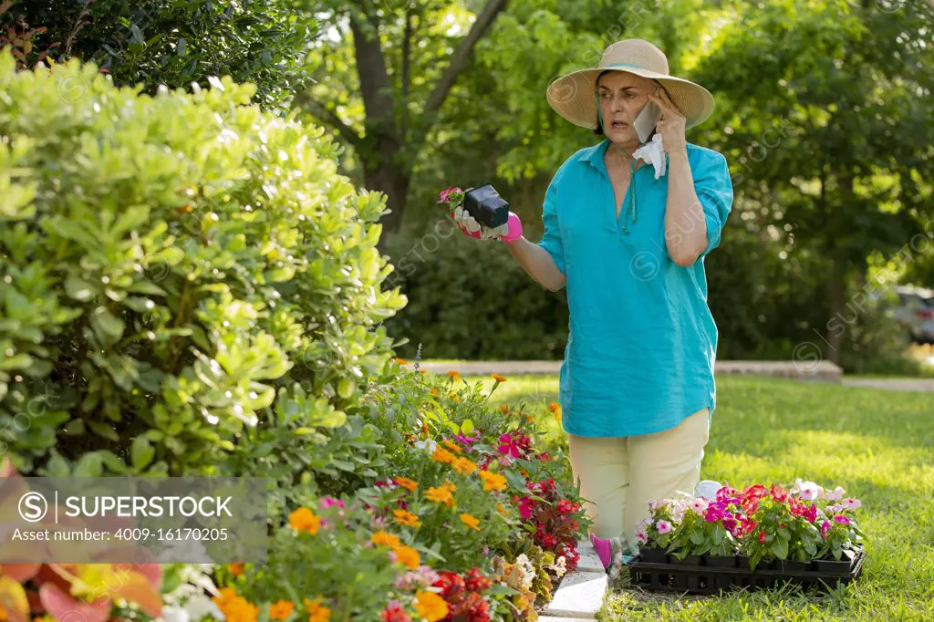 Senior Caucasian woman gardening in her yard, planting flowers in front of house and calling her doctor about her seasonal allergies 