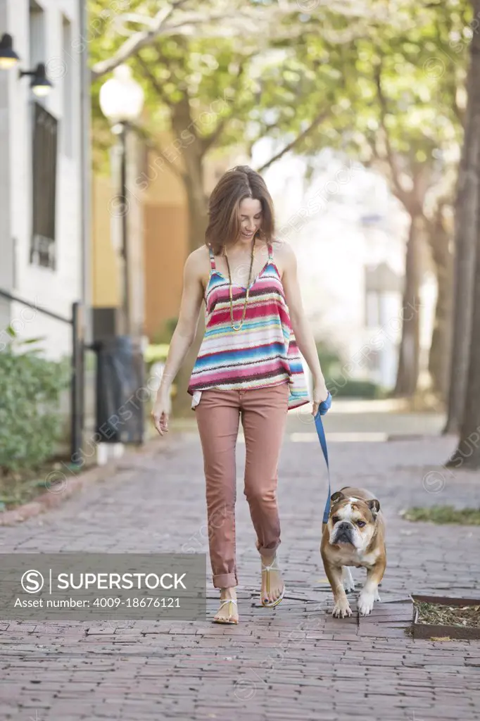 A woman walking her English Bull Dog down a city street.
