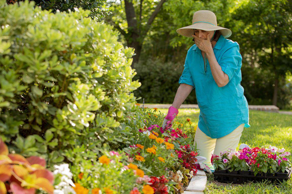 Senior Caucasian woman gardening in her yard, planting flowers in front of house covering her mouth as she is having an allergy attack
