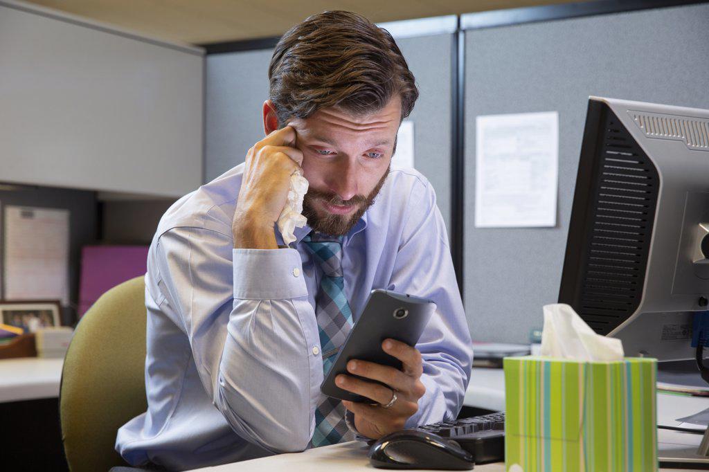 young Caucasian man working in cubicle at office, fighting off a cold with tissues and hot tea, checking cell phone to connect with doctor 